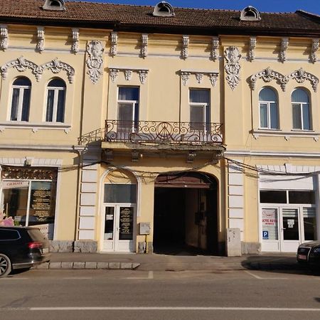 Sandor Central Studio Apartment Târgu-Mureş エクステリア 写真