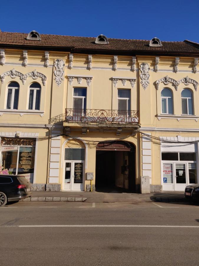 Sandor Central Studio Apartment Târgu-Mureş エクステリア 写真