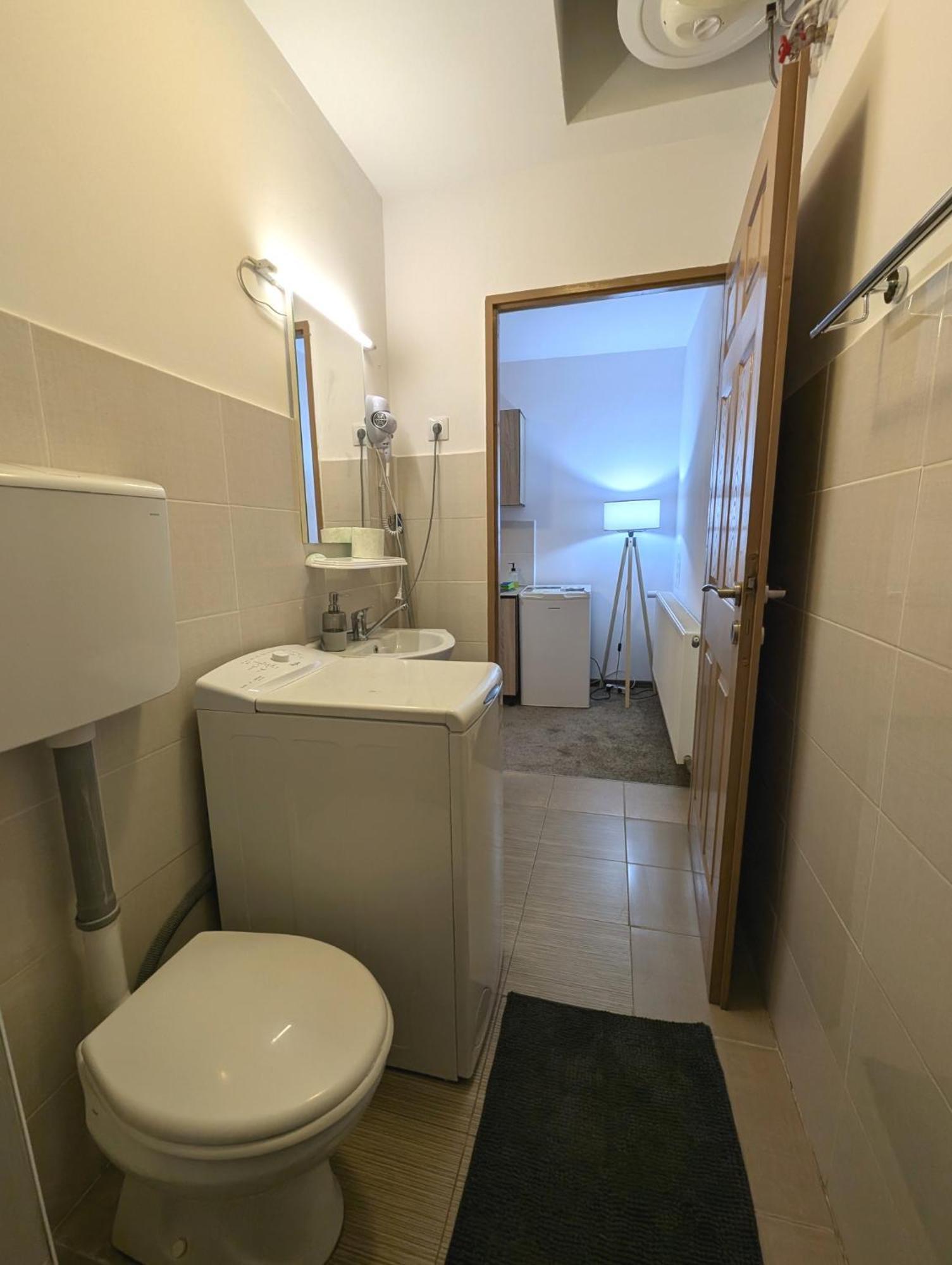 Sandor Central Studio Apartment Târgu-Mureş エクステリア 写真