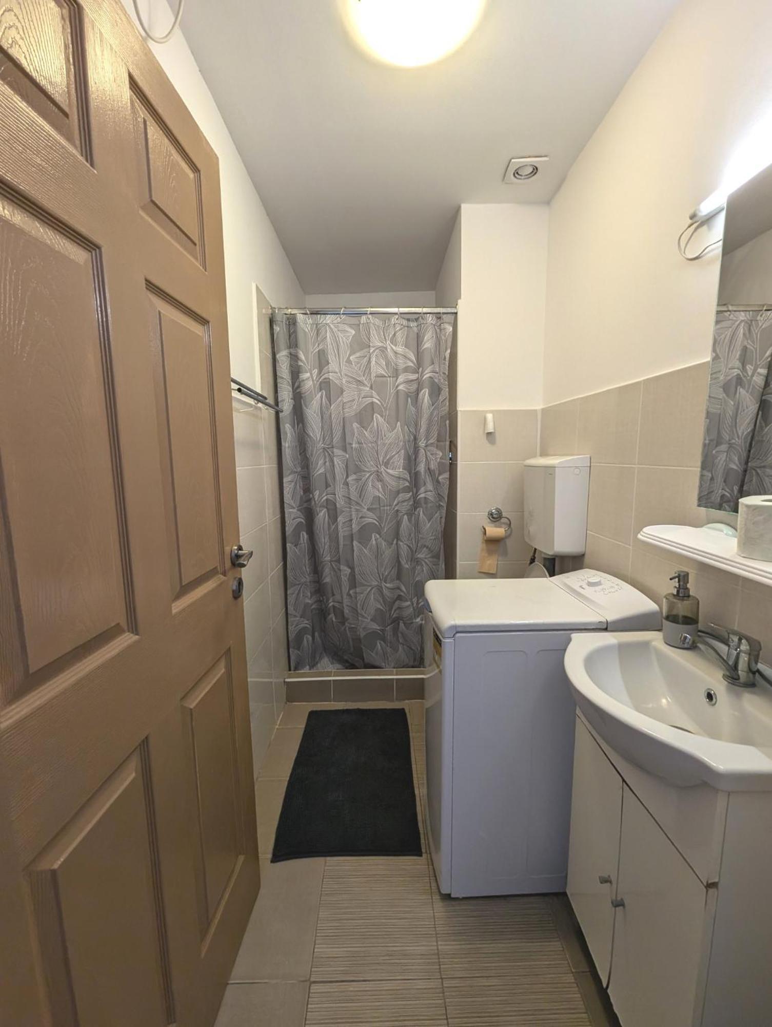 Sandor Central Studio Apartment Târgu-Mureş エクステリア 写真